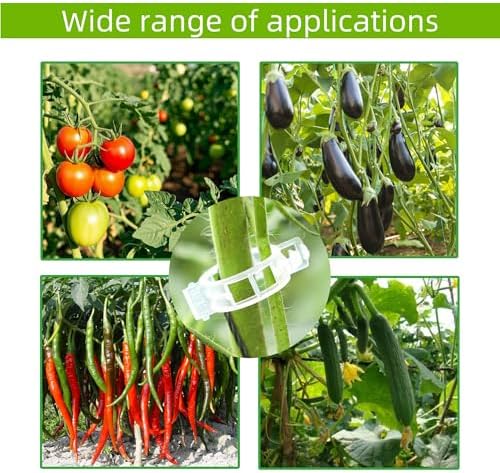 CIQIYO® 200 Pcs Plant Support Clips,Plastic Clips for Securing Plants,Tomato Vine Clips,Plant Fixing Clips,Garden Clips for Climbing Plants,Grape and Vine Vegetables (200, White) - Image 6