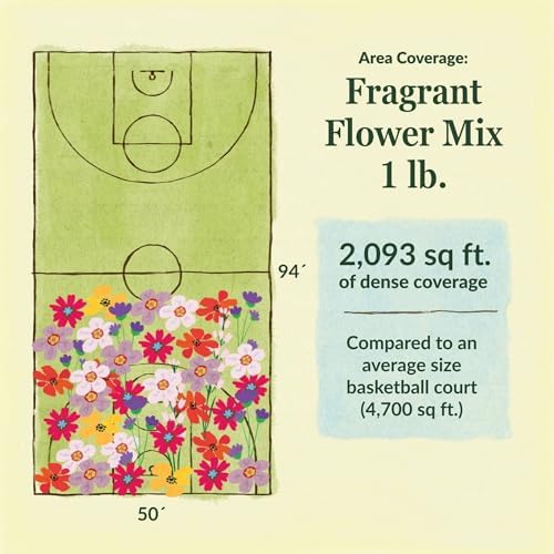 Ferry-Morse Fragrant Bulk Wildflower Seeds, 370,000+, 1 lb - Image 6