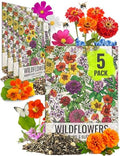 Seed Needs Hummingbird and Butterfly Seed Mix 5 Bulk Packs (1 Ounce Each) by SeedNeeds