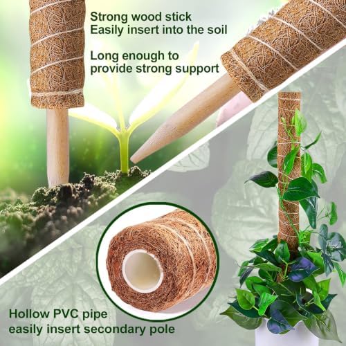Fabulas Moss Pole Monstera Plant Support, Extended to 48 Inch, 4 Pack 16 in - Image 5