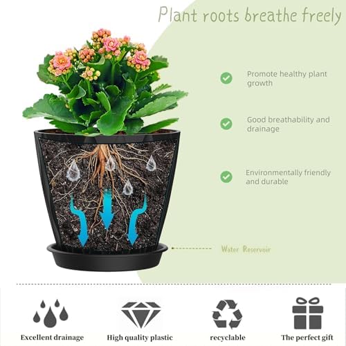 6 Inch Plant Pots, 6 Pack Indoor Flower Pots, Planters with Drainage Holes and Trays for Orchids, Violets, Succulents, Herbs, and Other Plants, Black - Image 4