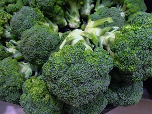 Vegetable & Herb Seed Set - 10 Varieties of Non-GMO Heirloom Premium Seeds for Planting - Watermelon, Broccoli, Rosemary, and More! - Image 4