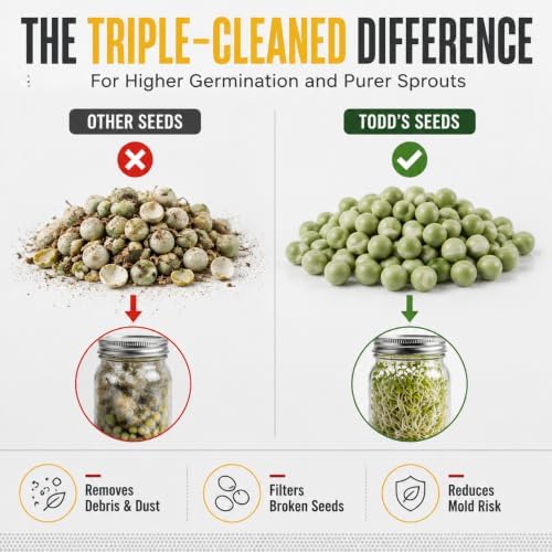 Todd's Seeds Green Pea Sprouting Seeds 1/4lb - Non-GMO Triple-Cleaned - Image 3