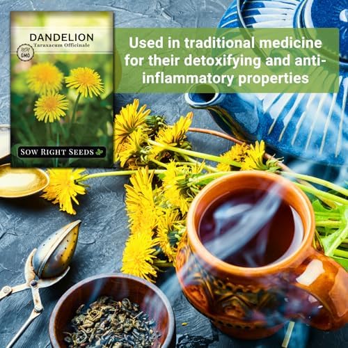 Sow Right Seeds - Common Dandelion Seed for Planting Outdoor Herb Garden - Image 5