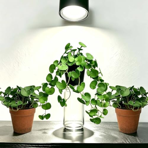 Artificial Hanging Coin Leaf Potted Vine, 2 Pack for Shelf Decor - Image 3