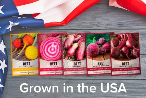 Gardeners Basics, Beet Seeds for Planting Home Garden - 5 Variety Pack Detroit Dark Red, Golden Detroit, Early Wonder, Cylindria and Chioggia Great for Spring, Summer, Fall, Heirloom Veggie Seeds - Image 4