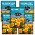 Survival Garden Seeds California Poppy Seeds for Planting, 5 Packs by SurvivalGardenSeeds