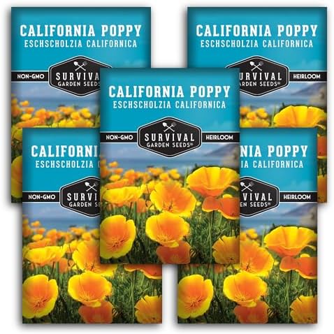 Survival Garden Seeds California Poppy Seeds for Planting, 5 Packs by SurvivalGardenSeeds