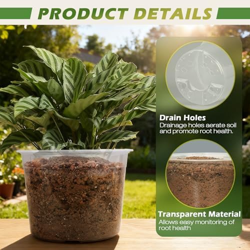 8" Clear Nursery Pots With Drainage Holes, 10 Packs Plastic Pots For Plants - Image 3
