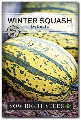 Sow Right Seeds - Delicata Squash Seed for Planting Winter Vegetables by SowRightSeeds