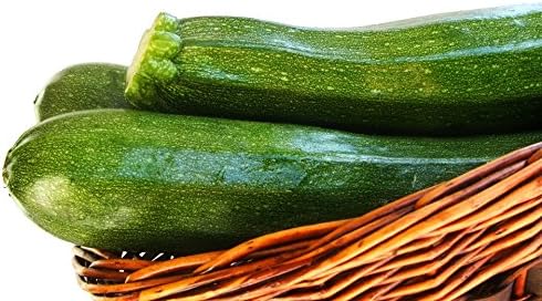 30+ Seeds Zucchini Green Machine for Garden - Vegetable Green - Image 7