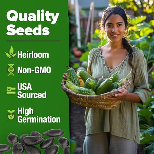 HOME GROWN Luffa Loofah Gourd Seeds, 80+ Seeds, Luffa aegyptiaca - Image 3