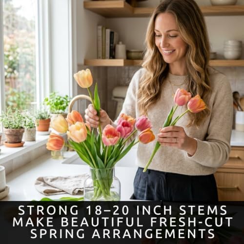 25 Salmon Dynasty Tulip Bulbs | Coral Pink Spring Flowers for Fall Planting - Image 3