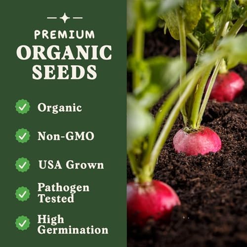Organic Non-GMO Vegetable Seeds for Planting (Cherry Belle Radish) - Image 3
