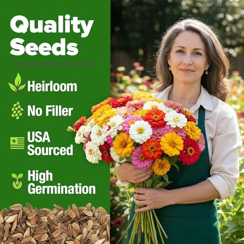 HOME GROWN Zinnia Seeds, Pumila Mix, 4,300 Seeds, Zinnia elegans - Image 2