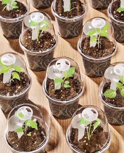 homenote 3 Inch Nursery Pots with Humidity Domes for Seed Starting (30 Pcs) - Image 4