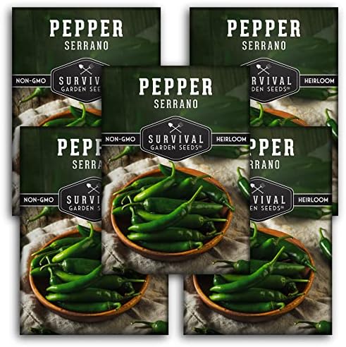 Mexican Serrano Pepper Seeds for Planting - 5 Packs by SurvivalGardenSeeds