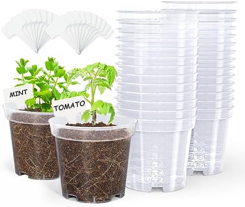 homenote 4 Inch Clear Nursery Pots with Drainage Holes for Plants (30 Pcs) by HOMENOTE