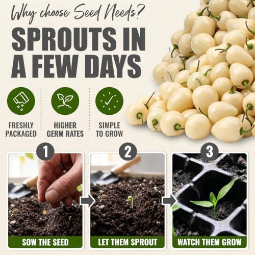 Seed Needs White Habanero Hot Pepper Seeds to Plant Vegetables - 2 Packs - Image 5