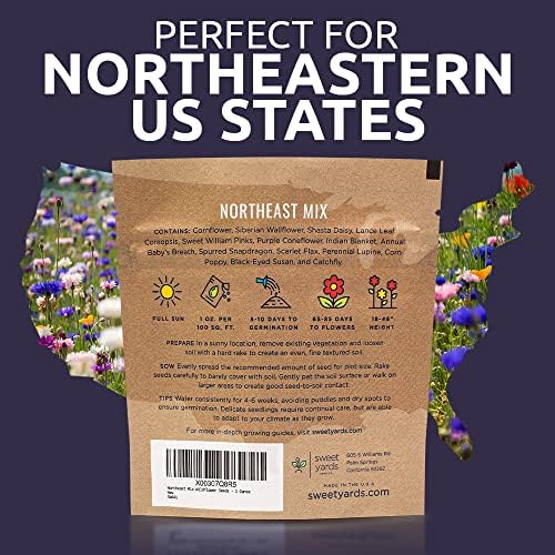 Northeast Wildflower Seeds - Extra Large 1 Ounce Packet - Over 7,500 Native Seeds - Open Pollinated and Non GMO Varieties for New York, Virginia, Pennsylvania, Maine and More! (Pack of 3) - Image 7