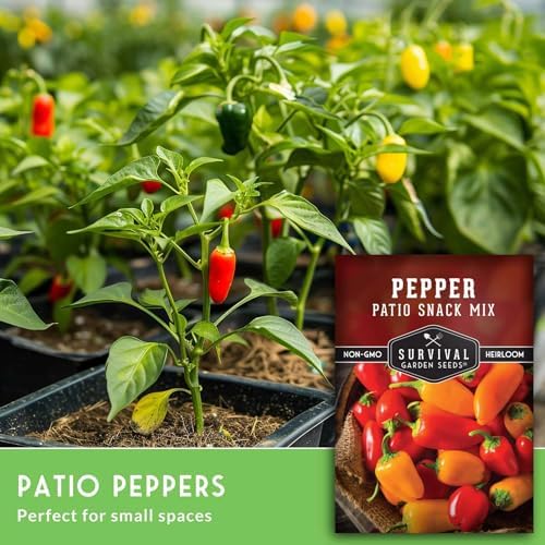 Patio Snack Mix Mini Sweet Pepper Seeds for Planting (5 Pack) - Image 3