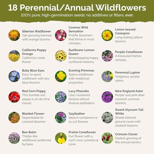 Eden Brothers South Carolina Wildflower Mixed Seeds for Planting, 1 lb - Image 3