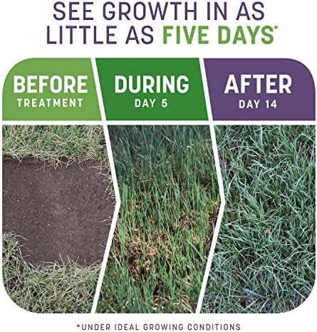Pennington Smart Patch Dense Shade Grass Seed 10 LB, Bare Spot Repair with Mulch and Fertilizer - Image 2