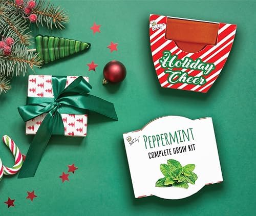 BUZZY Seeds Candy Cane Peppermint Grow Kit 6-Pack, Terracotta Pots - Image 2