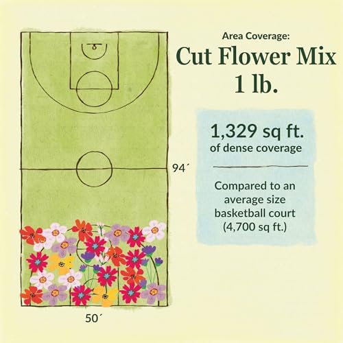 Ferry-Morse Cut Flower Bulk Wildflower Seeds, 280,000+, 1 lb - Image 6