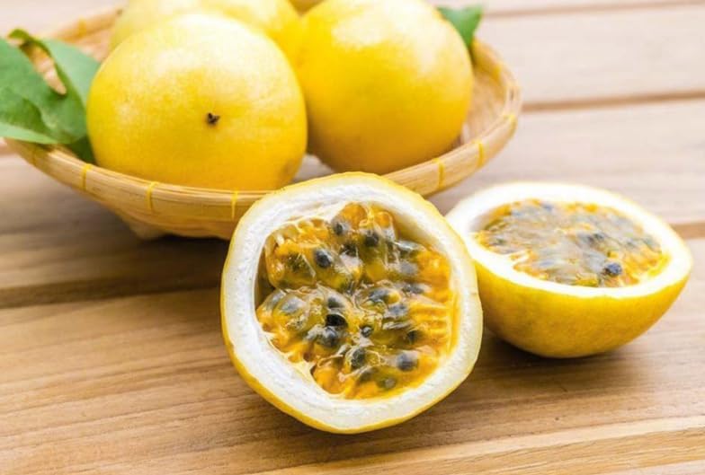 Yellow Passionfruit Vine Plant Live for Planting 4-6 Inch Tall, Sweet Tropical Fruit Plant for Outdoor Garden - Image 4