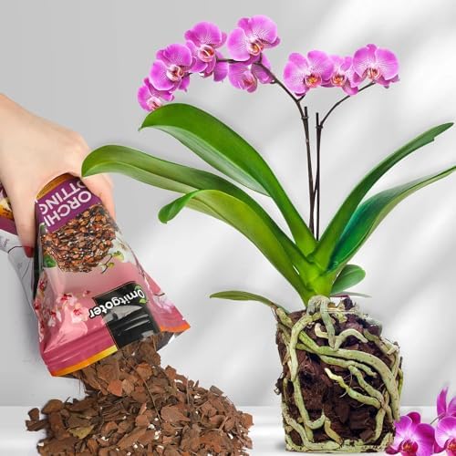 Organic Orchid Potting Mix 2qt, Mixture of Orchid Bark and Perlite, Specifically Formulated for Orchids - Image 5