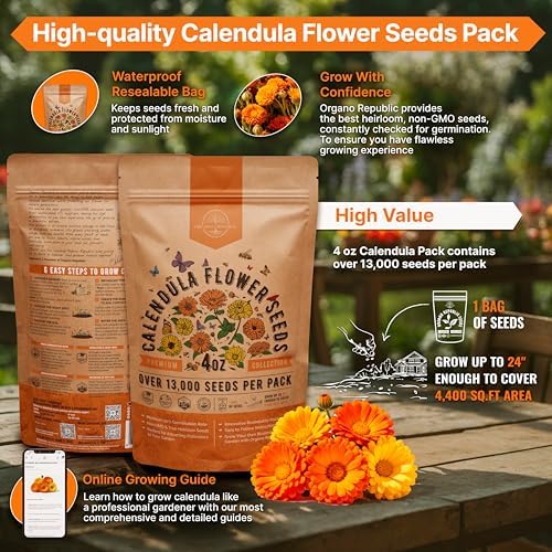 Calendula Seeds Pack 4 oz - Over 13,000 Non-GMO Heirloom Calendula Seeds for Planting Indoor & Outdoor Gardening, Flower Seed for Planting Home and Garden, Flowers Seed in Individual Packet - Image 2