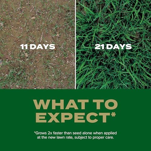 Scotts Turf Builder Rapid Grass Southern Gold Blend, 5.6 lbs. - Image 6