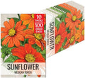 Seed Needs Mexican Sunflower Seeds to Plant Cut Flowers - 10 Packs by SeedNeeds