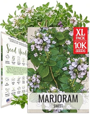 Seed Needs Sweet Marjoram Seeds to Plant Non-GMO & Heirloom Herbs XL Pack by SeedNeeds
