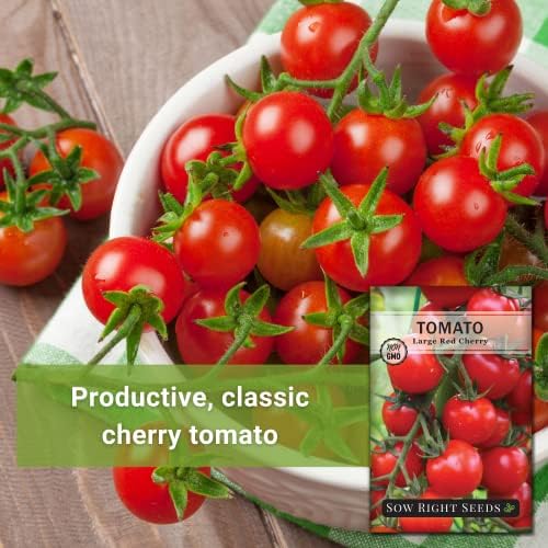 Sow Right Seeds - Large Red Cherry Tomato Seed for Planting Vegetable 3pk - Image 3