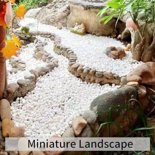 FANTIAN 5 lbs White Pea Gravel, 3/8 Inch Pebble Rocks for Indoor Plants - Image 3