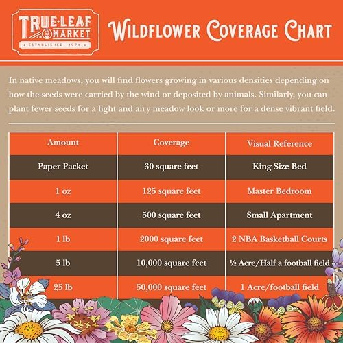 Mountain Valley Seed Co All Annual Wildflower Mix Seed for Planting 1 Lb - Image 4