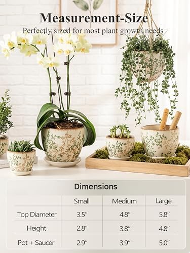 Ceramic Plant Pots, Nursery Pots with Drainage Hole, 3.5 Inch Succulent Pots for Plants, Small Indoor Flower Pots, Modern Decorative Planters for House Plants, Garden Planters, White Green - Image 3