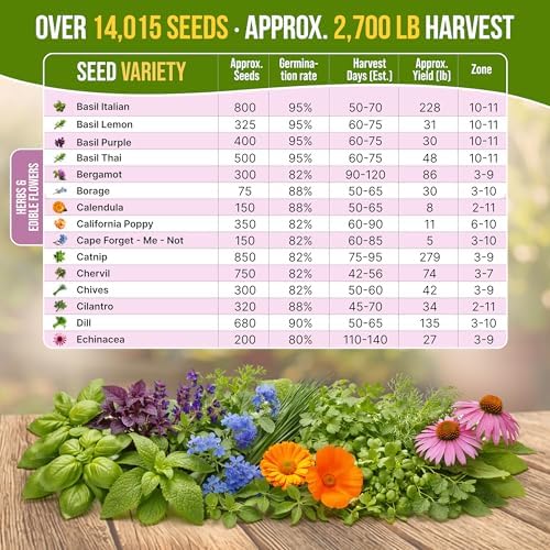 Organo Republic 30 Culinary Herbs & Edible Flower Seed Variety Pack- Indoor/Outdoor. 14000+ Non-GMO Heirloom Flower Seeds: Basil, Borage, Echinacea, Lavender, Oregano, Rosemary Seeds & More - Image 4