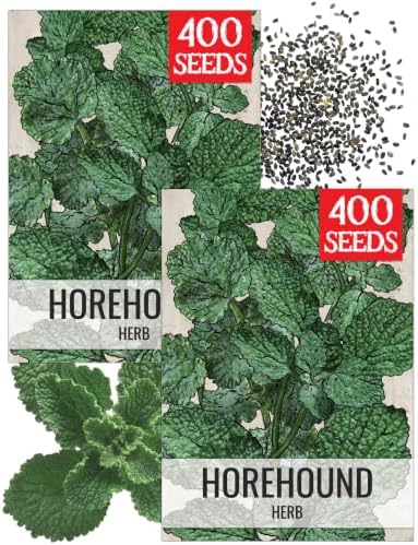 Seed Needs Horehound Seeds to Plant an Herb Garden - 2 Packs by SeedNeeds