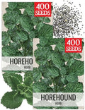 Seed Needs Horehound Seeds to Plant an Herb Garden - 2 Packs by SeedNeeds