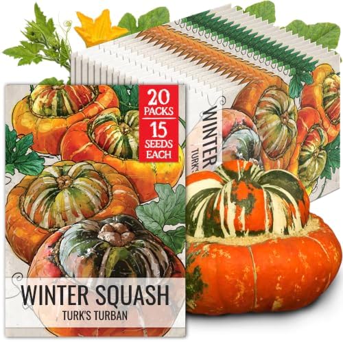 Seed Needs Turk's Turban Squash Seeds to Plant Vegetables - 20 Packs by SeedNeeds