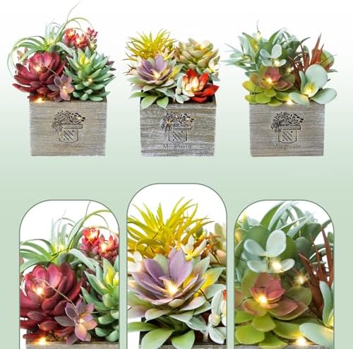 Succulents Plants Artificial with Light for Home Office Decor 3 Pack - Image 5