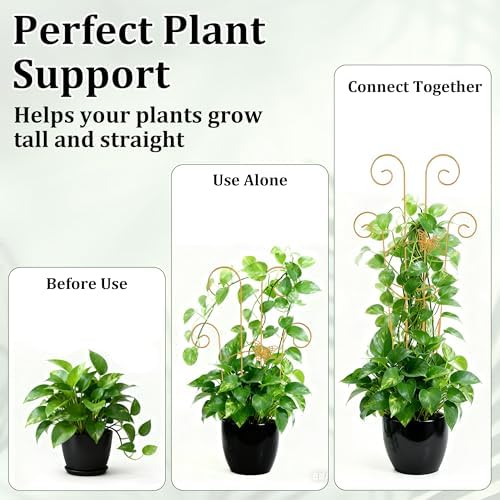 2 Pcs 30'' Monstera Plant Trellis for Pots, Metal Garden Trellis for Outdoor Plant Climbers, Expandable Houseplant Support with Butterfly Design for Monstera Ivy Hoya Vine, Gold - Image 5