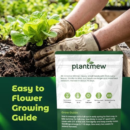 Buttercrunch Lettuce Seeds – 2500 Heirloom Seeds for Planting, Butter Lettuce Seeds for Indoor Outdoor Hydroponic Home Garden - Image 3