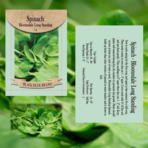 Set of 6 Greens & Leafy Vegetable Seed Collection – Grow Fresh, Nutritious Greens for Salads & Cooking – Non-GMO, Heirloom, High Germination – Lettuce, Kale, Spinach & More - Image 2