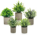 Artificial Potted Plants Set of 5, Realistic Faux Greenery in Cement Pots for Home Office Desk Bookshelf Decor, Small Fake Plants for Indoor Tabletop Decoration by AUUGUU