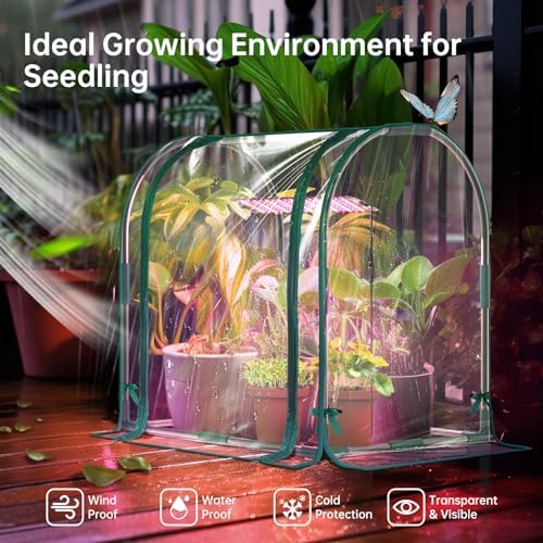 Bstrip Mini Indoor Greenhouse with Grow Light, Desktop Small Greenhouse - Image 2