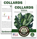 Vates Collard Greens Seeds for Planting (1 Pack | 400+ Seeds per Pack) - Organic, Non-GMO, Heirloom, Frost Hardy, Compact, Slow-Bolting, USA Grown, with Instructions to Plant a Home Vegetable Garden by WeGrowGoodFood